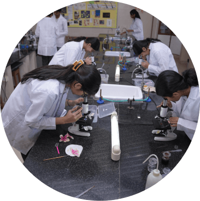 COLLABORATIVE LEARNING